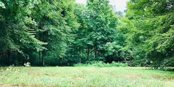 000 Lake View Drive