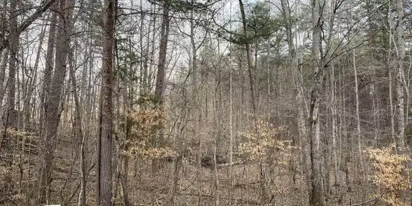 Lot #4 Pine Tree Road
