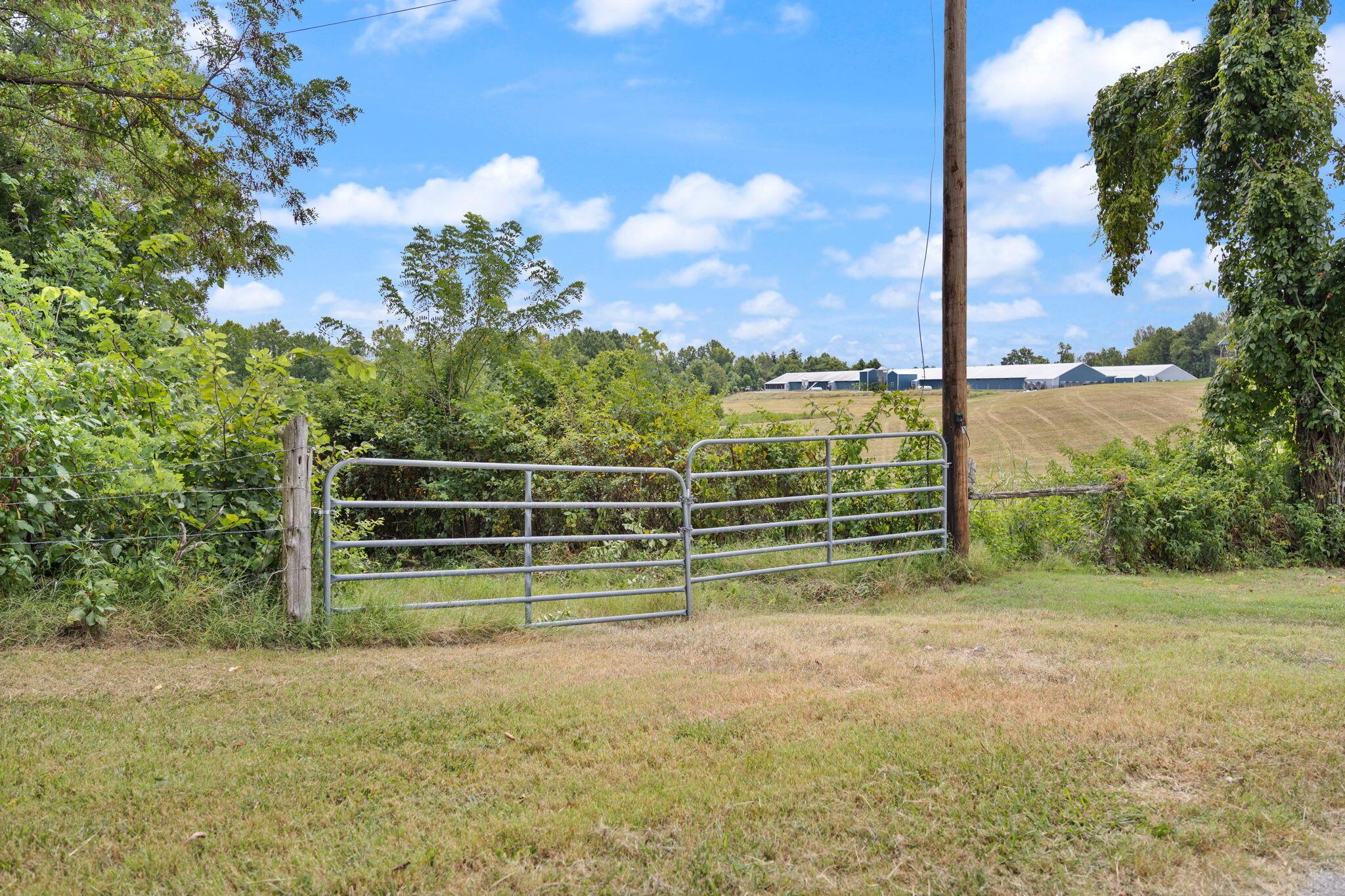 Image 4: 4-web-or-mls-413A1686