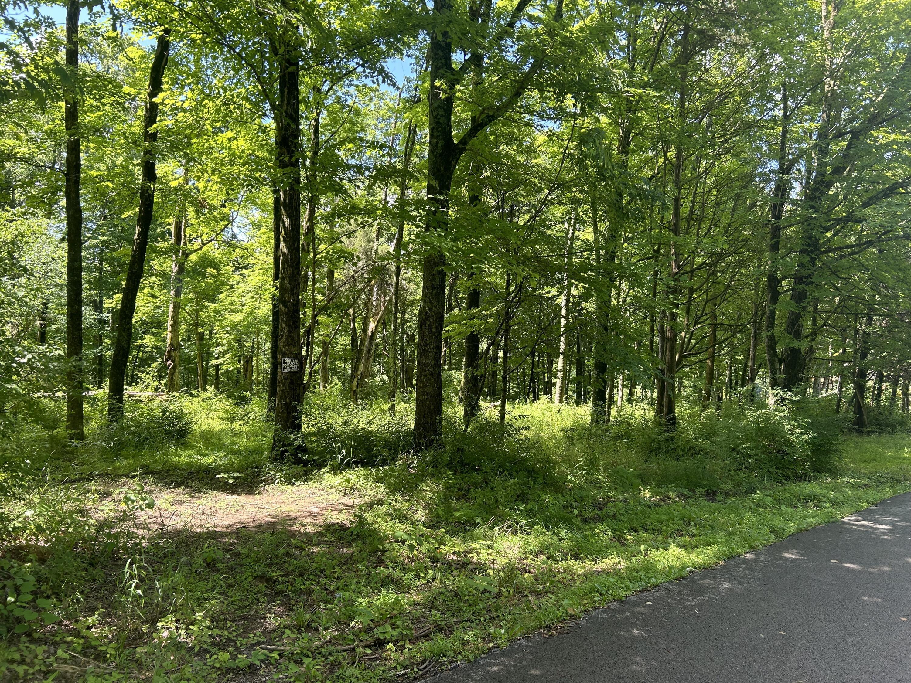 Image 4: Street view