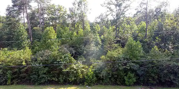 Image 2: DJI_003801