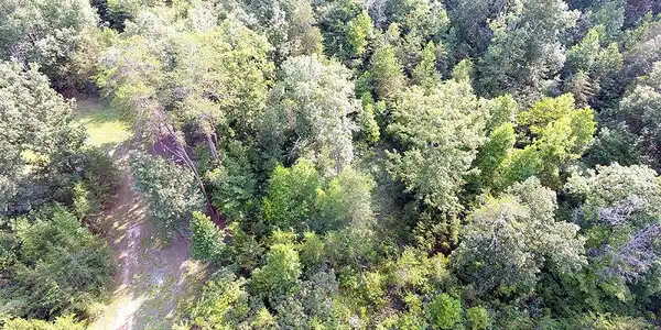 Image 3: DJI_004003