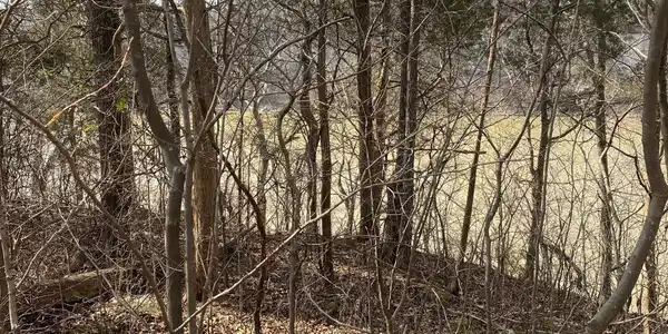 Lot 1 North Fork Road