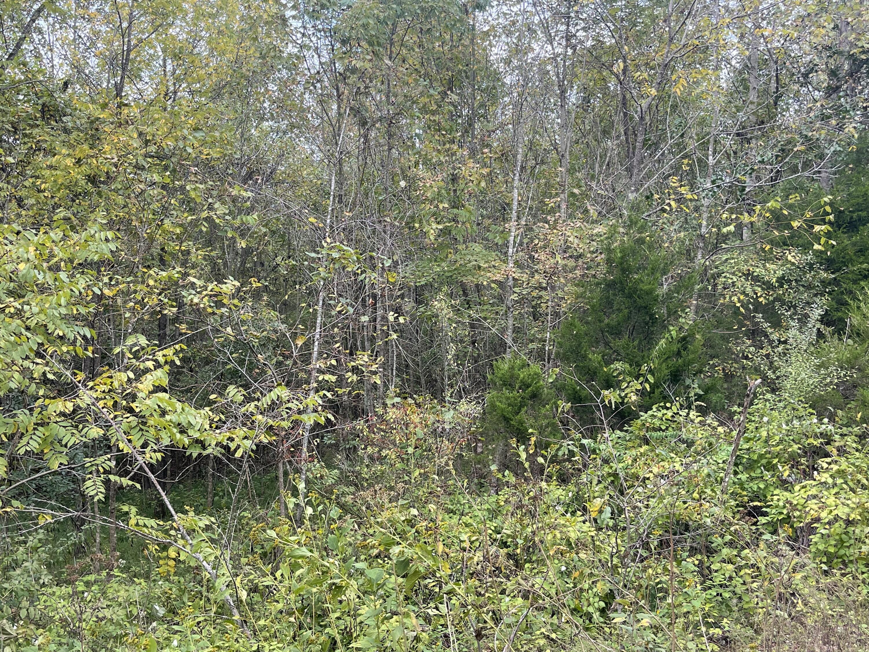 Image 4: IMG_6130