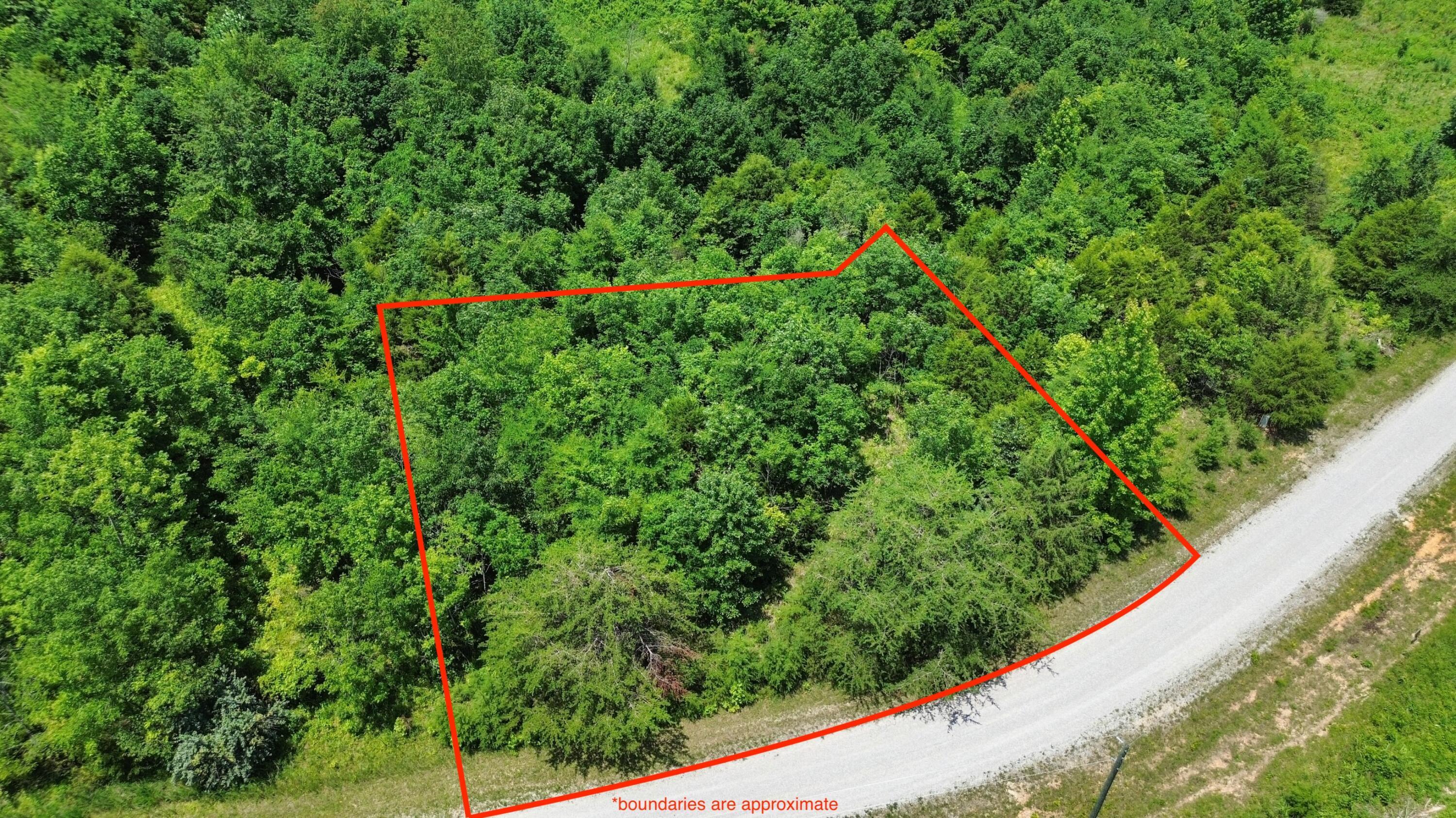 Image 1: DJI_0431 (1)