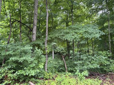 lot 3 George Hardwick Drive
