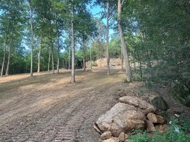 Image 1: lake lot 5