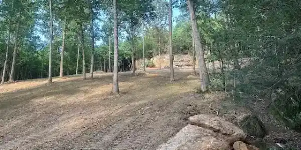 9999 Rocky Branch Road