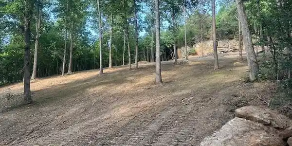 Image 2: lake lot 4