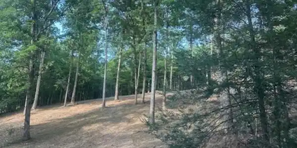 Image 3: Lake lot 2
