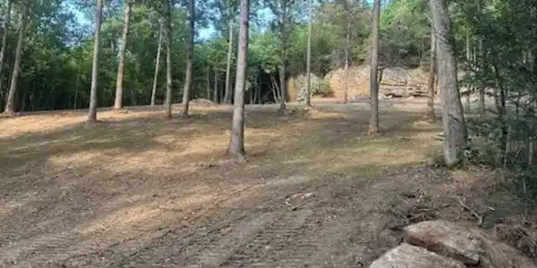Image 4: lake lot 3
