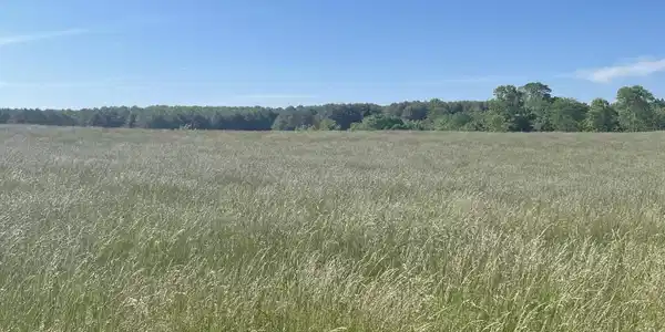 Lot 38 Edgewater
