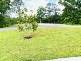 9999 Norwood Drive