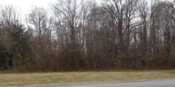 7741 South Hwy 27