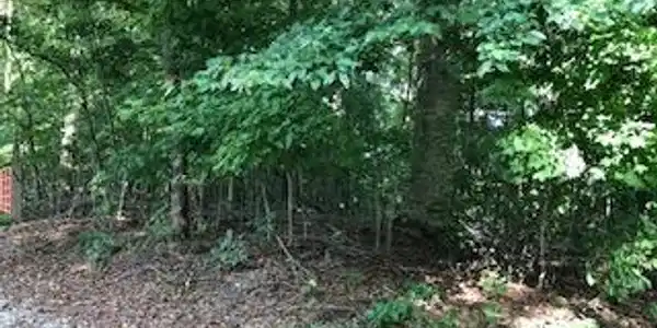 29-32 Bart's Way