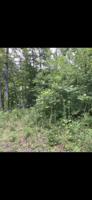 2958 Roberts Bend Road