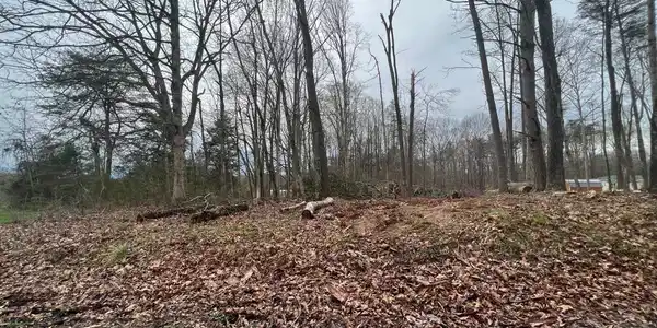 3 Lazy Trail Road
