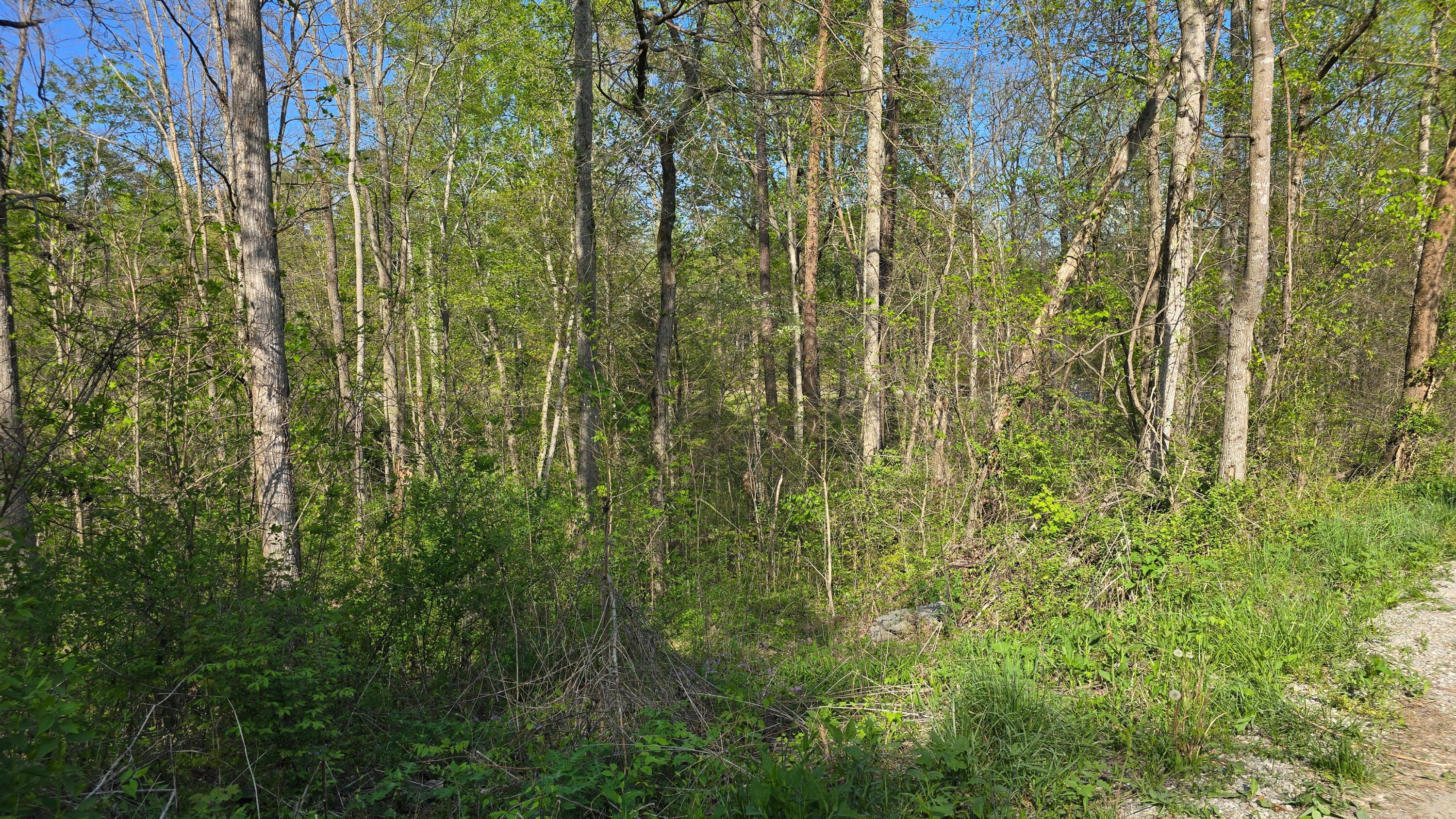 Image 4: Suncrest4