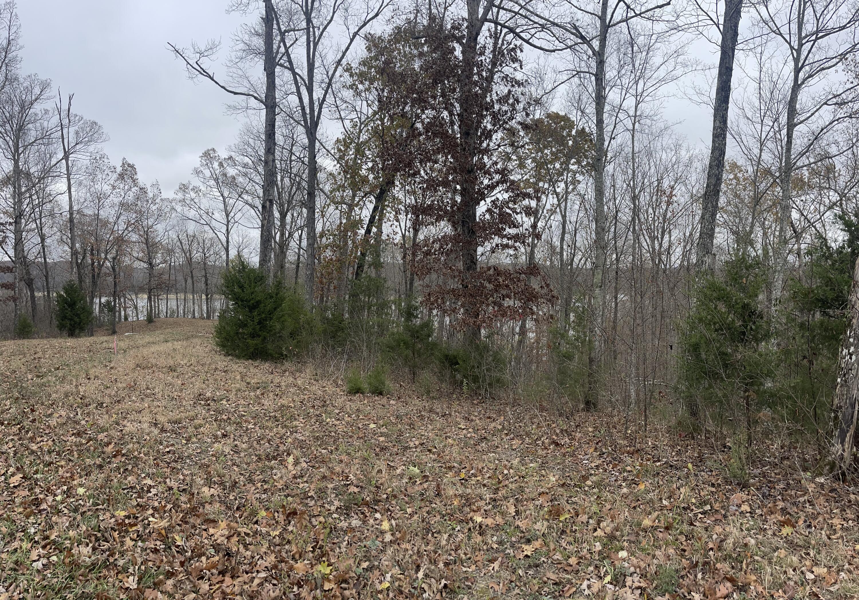 Image 1: IMG_6444