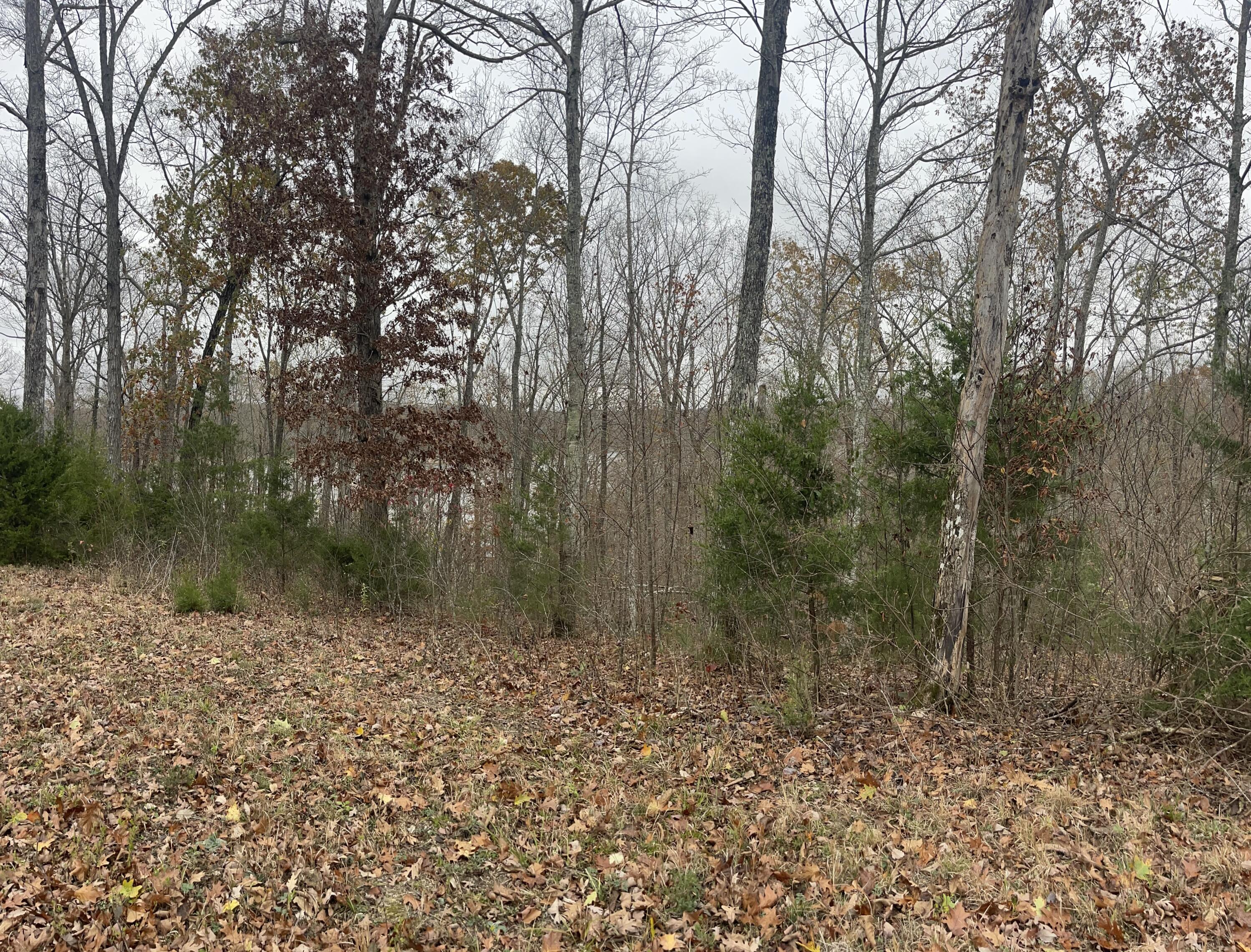 Image 3: IMG_6443