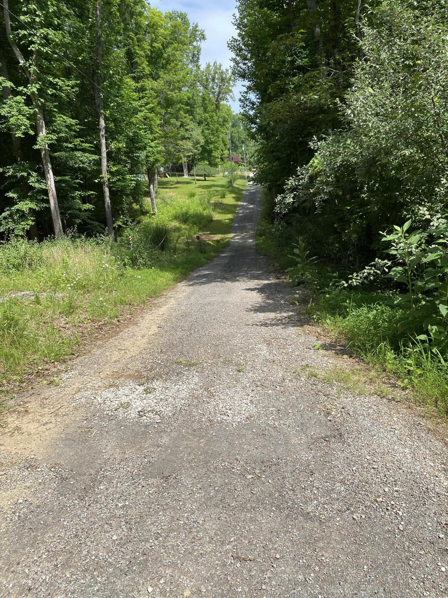 Image 3: IMG_8457