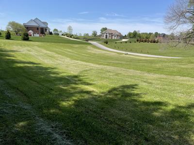000 Blackberry Lane