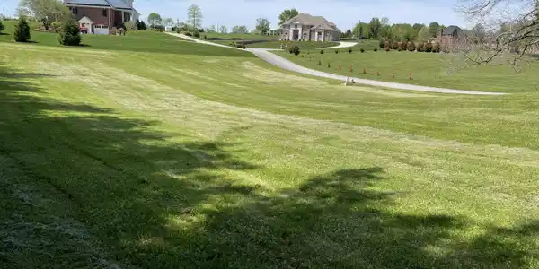 000 Blackberry Lane
