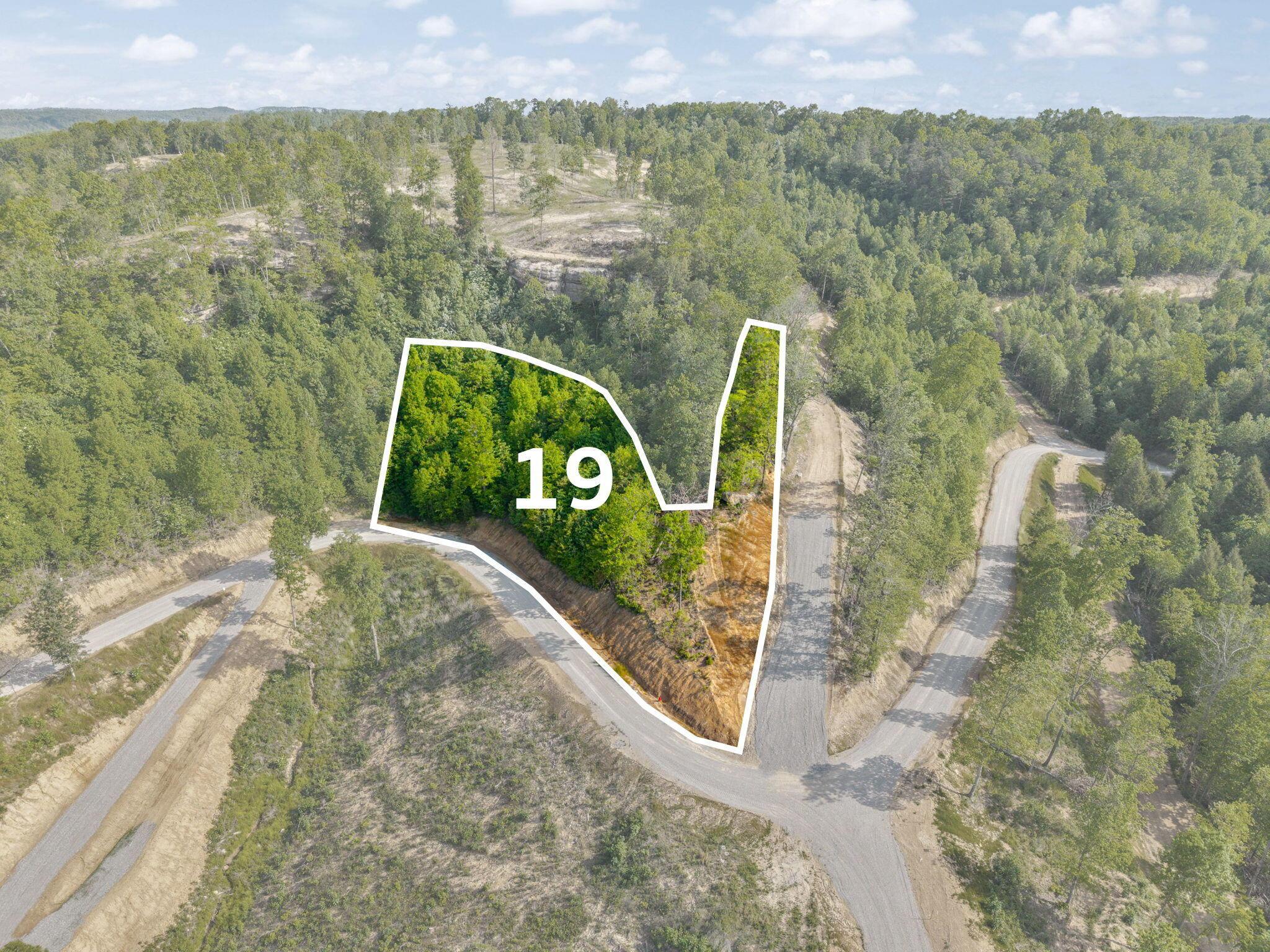 Image 3: LOT 19
