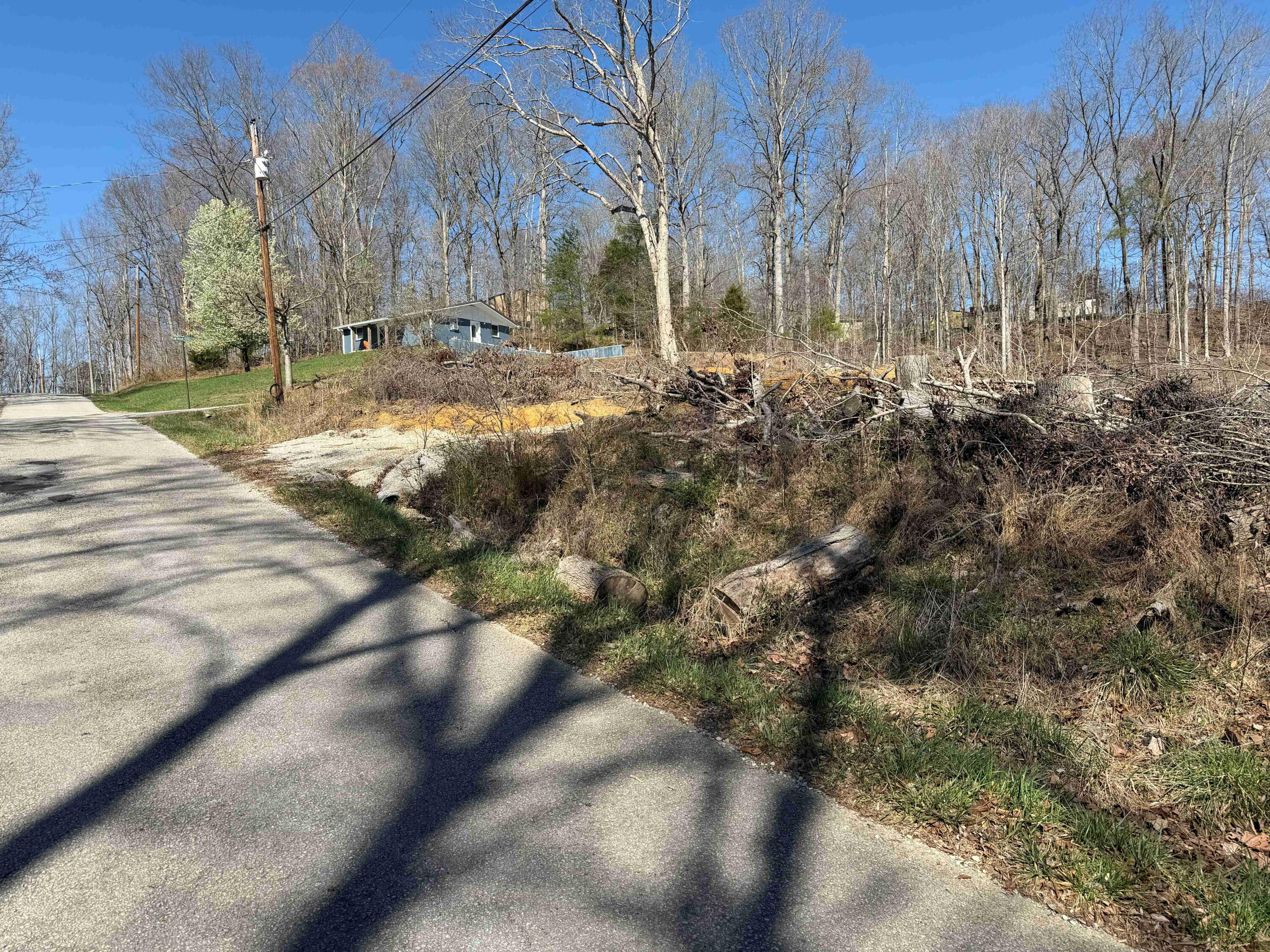Image 3: IMG_0610
