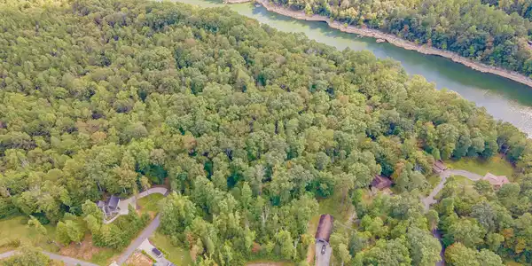 10 Forest Way
