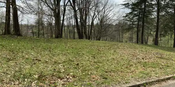 307 White Tail Run Drive