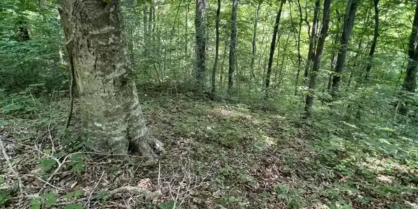 4 Clearwater Landing