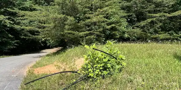 6 Clearwater Landing