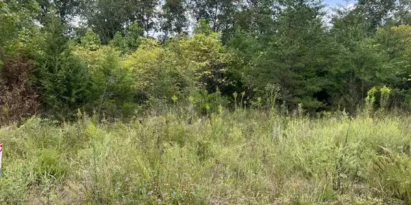 333 Doc Nichols Landing