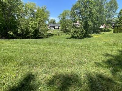 311 Lake Cliff Drive
