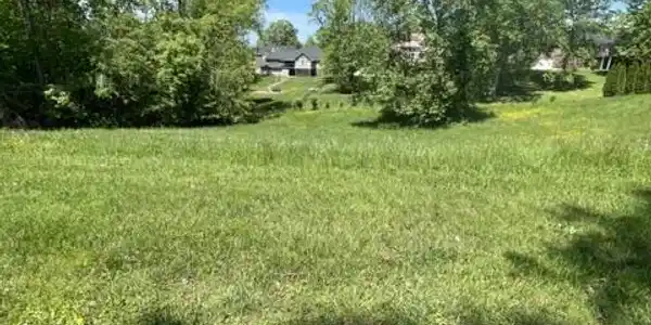 311 Lake Cliff Drive