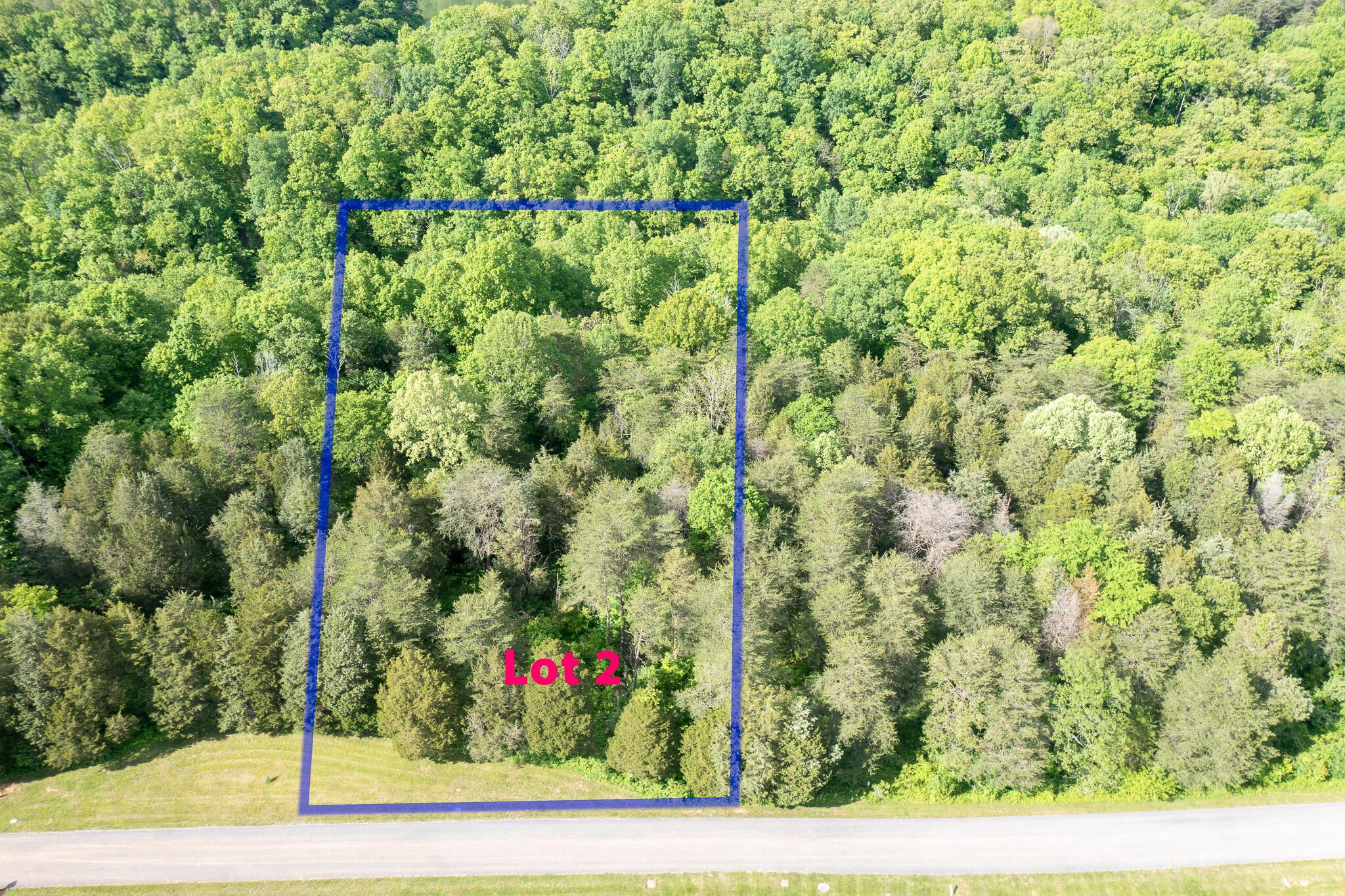 Image 3: Lot 2