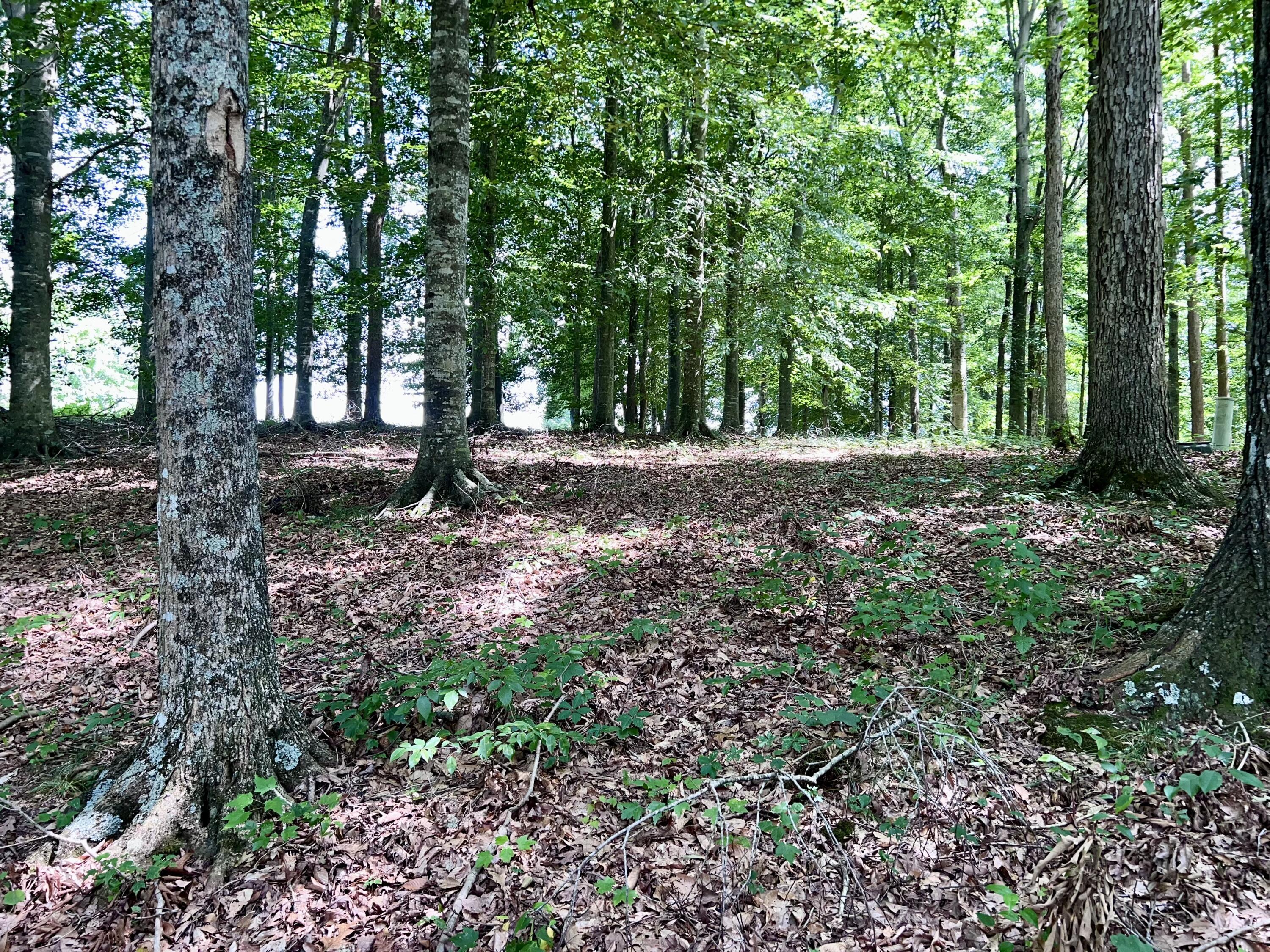 Image 2: IMG_5320