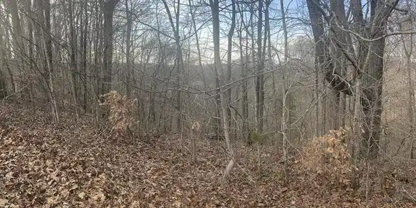 Lot 35 Laurelwood