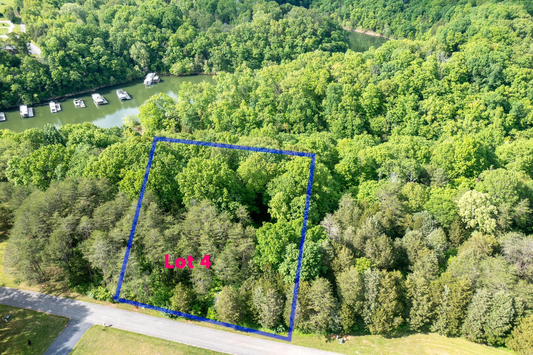 Image 4: Lot 4