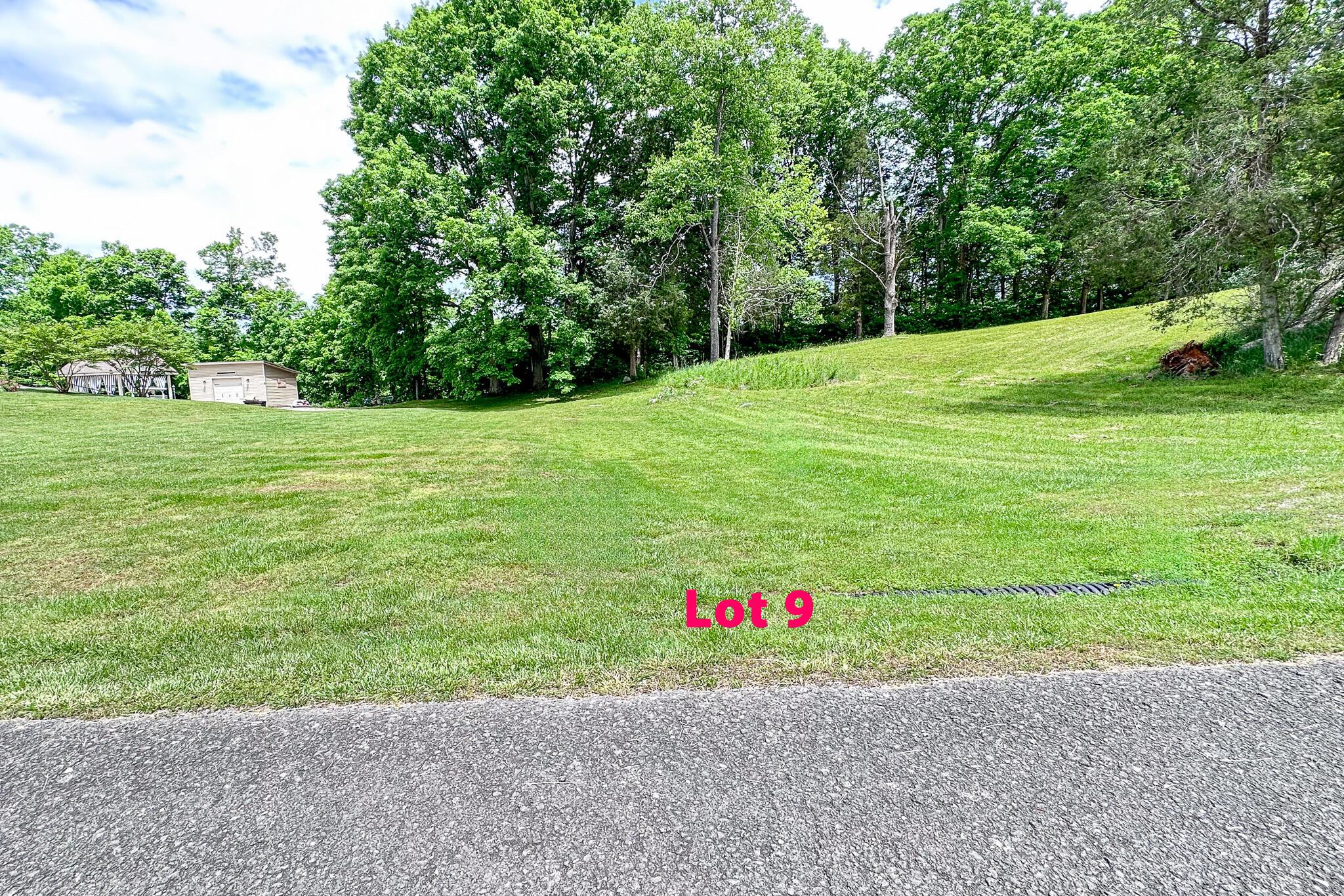 Image 2: Lot 9