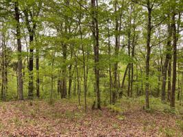 40 Blevins Ridge Rd