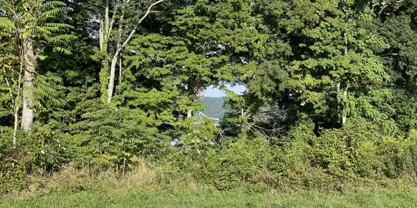 101 Gracie Lane (Lot 8)