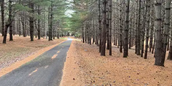 Lot 73 Edgewater