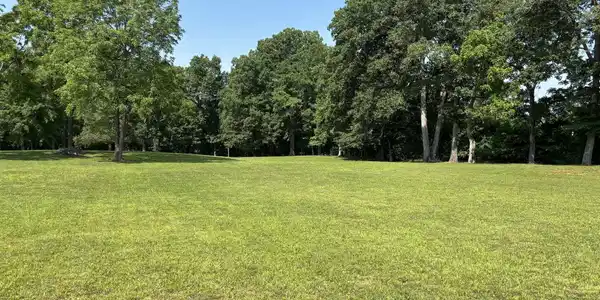 2 Cherry Loop