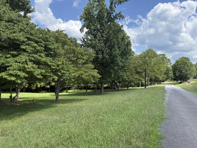 Lots 22&23 Cherry Loop Road