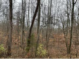 9 Leisure Acres Spur