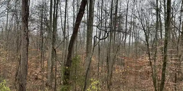 9 Leisure Acres Spur