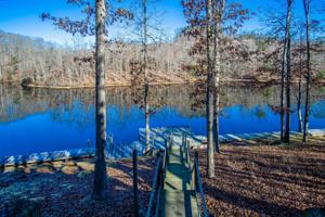 572 Rocky Branch Road