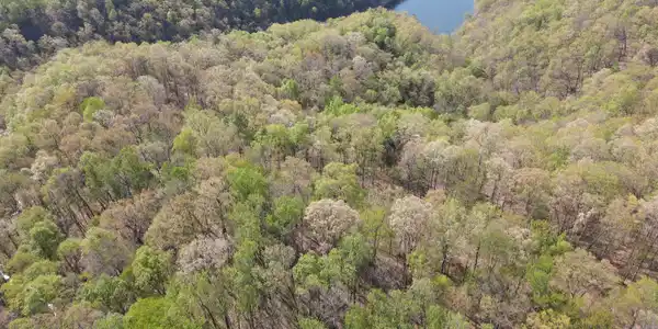 133 Sandstone Point Trail